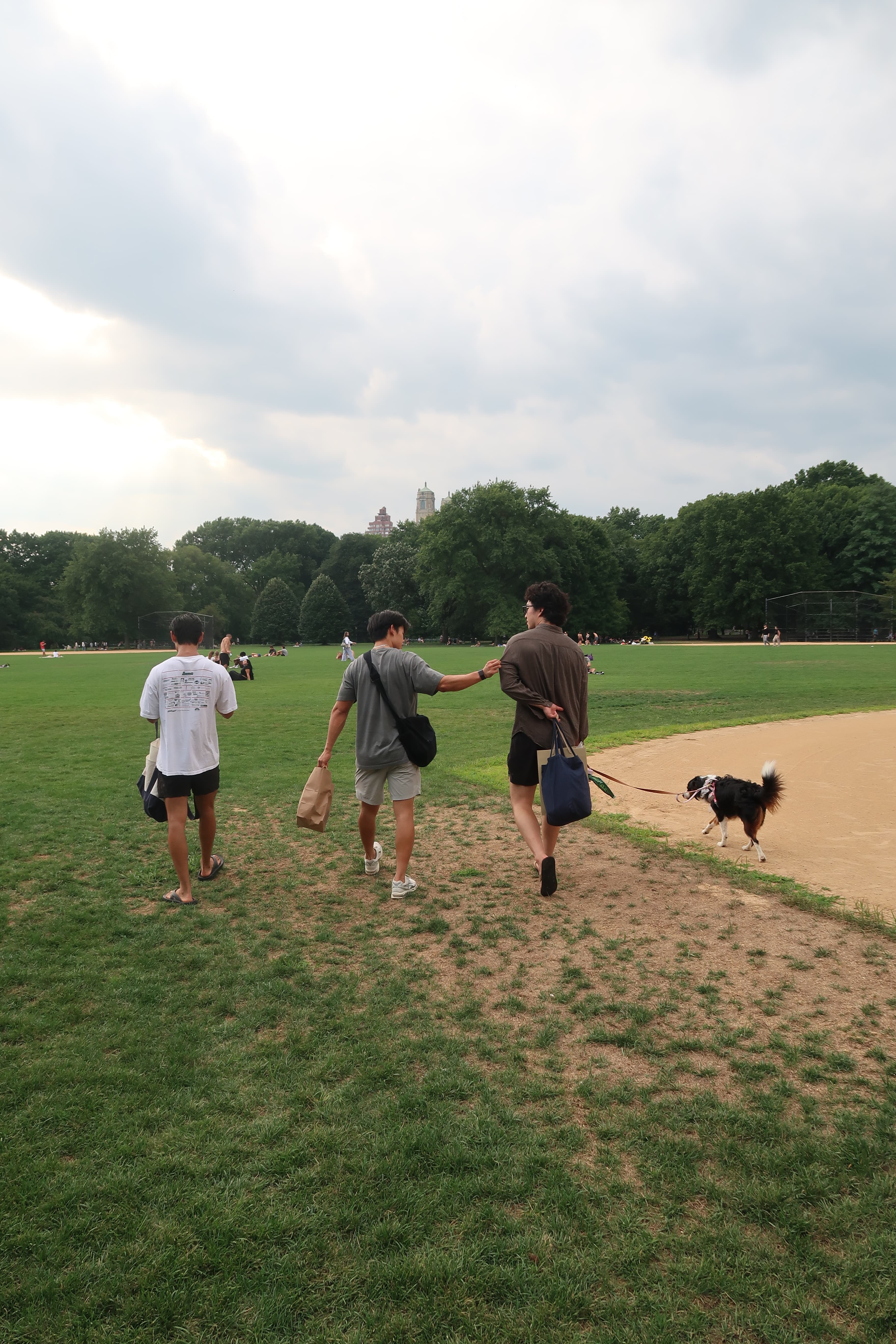 Friends in the Park
