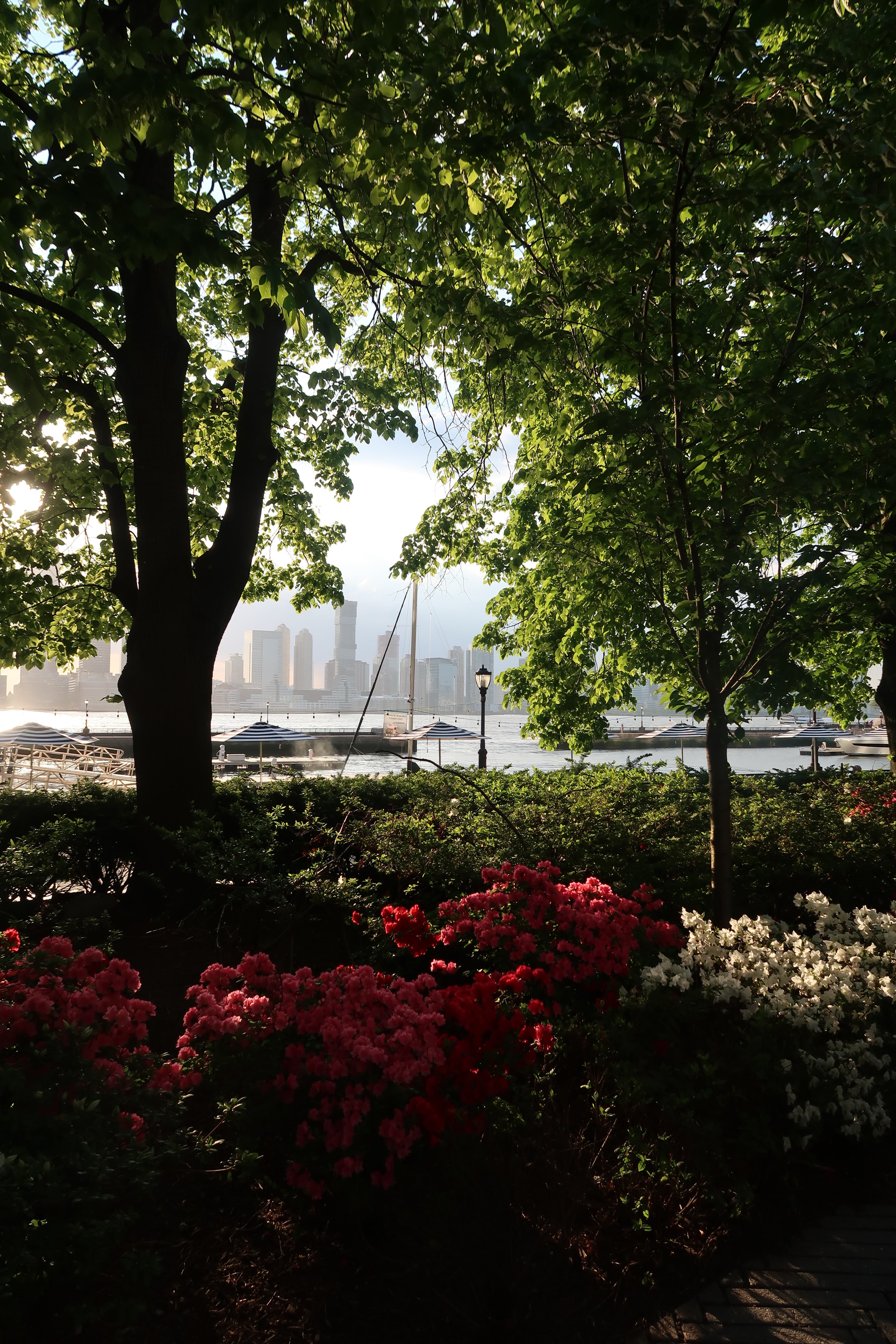 Pumphouse Park
